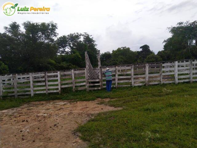 #3249 - Fazenda para Venda em São Raimundo das Mangabeiras - MA - 3