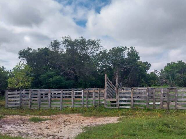 #3249 - Fazenda para Venda em São Raimundo das Mangabeiras - MA - 2