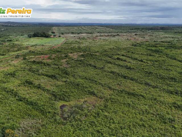 #3251 - Fazenda para Venda em Babaçulândia - TO