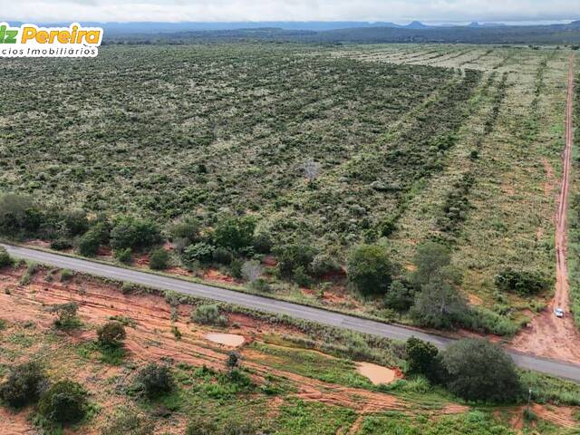 #3251 - Fazenda para Venda em Babaçulândia - TO - 3