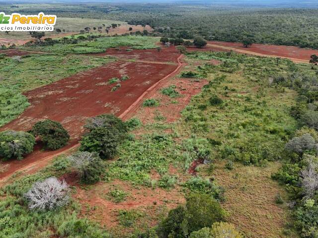 Fazenda para Venda em Babaçulândia - 4