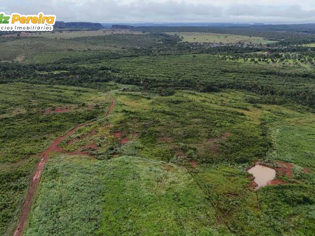 #3251 - Fazenda para Venda em Babaçulândia - TO - 2