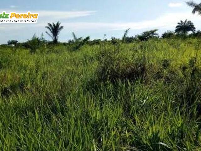 Fazenda para Venda em Rio Maria - 4
