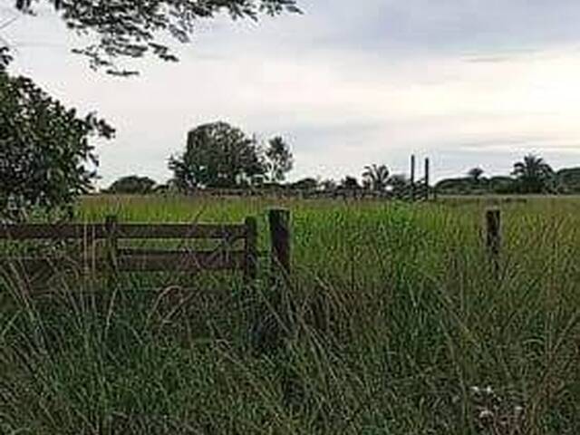 Fazenda para Venda em Rio Maria - 5