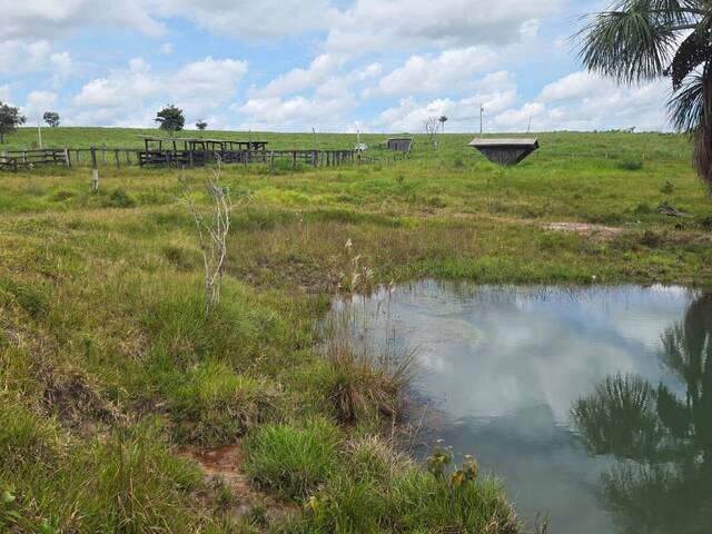 Venda em Zona Rural - Pimenta Bueno