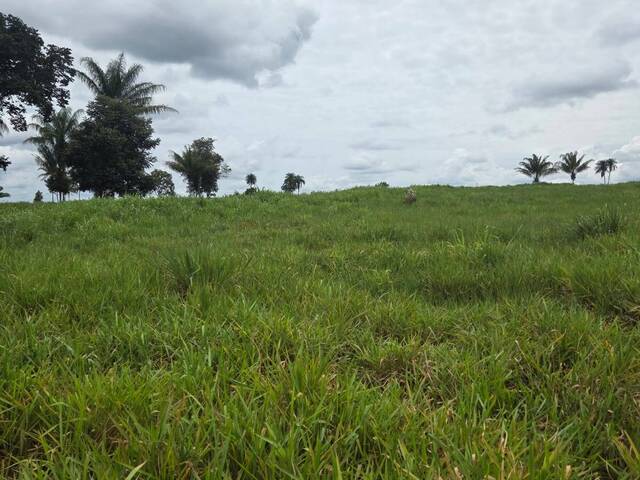 Fazenda para Venda em Pimenta Bueno - 5