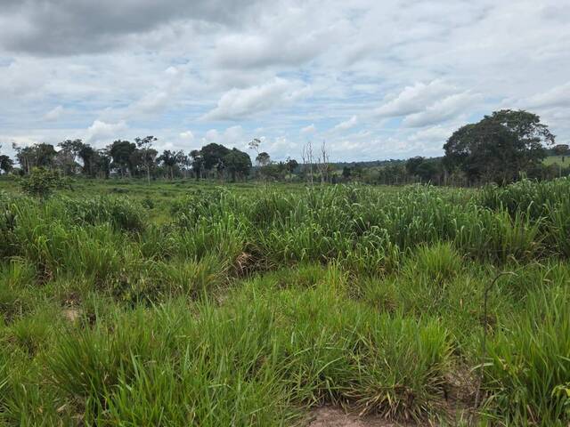 #3253 - Fazenda para Venda em Pimenta Bueno - RO - 3