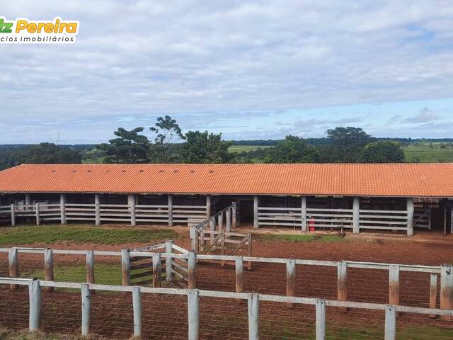 #3254 - Chácara para Venda em Chupinguaia - RO - 1