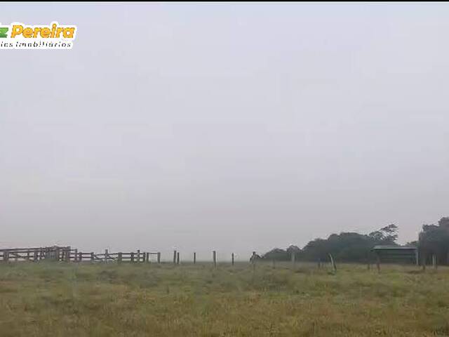 #3254 - Chácara para Venda em Chupinguaia - RO - 2