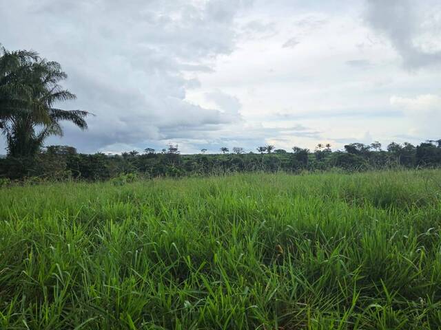 #3255 - Fazenda para Venda em Chupinguaia - RO - 3