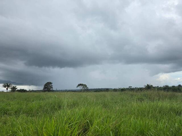 #3255 - Fazenda para Venda em Chupinguaia - RO - 1