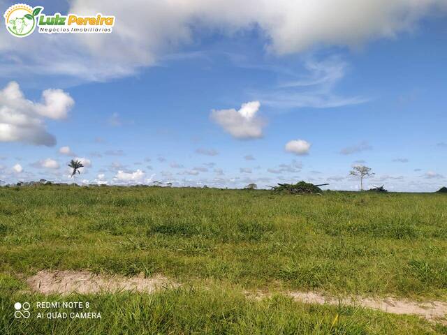 #3257 - Chácara para Venda em Portel - PA - 2