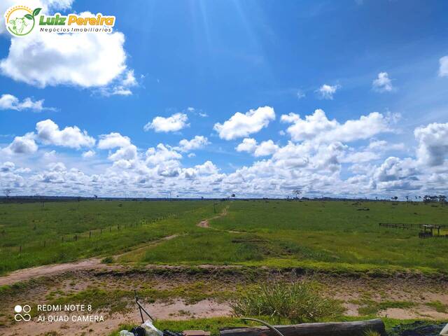 #3257 - Chácara para Venda em Portel - PA - 3