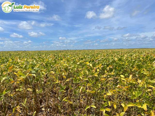 Fazenda para Venda em Peixe - 5