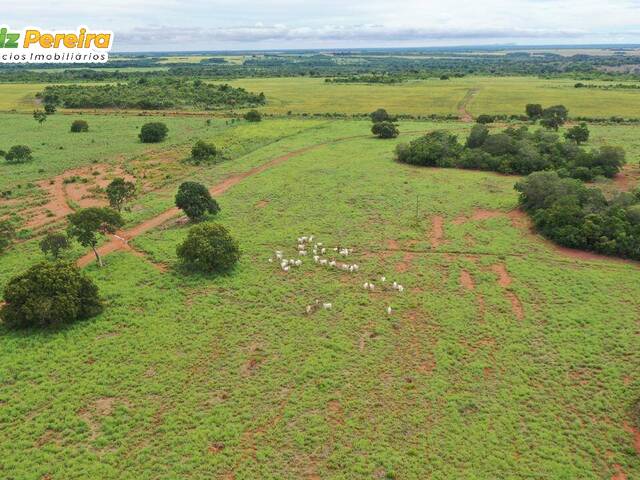 Fazenda para Venda em Peixe - 2