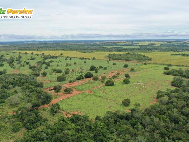 Fazenda para Venda em Peixe - 3