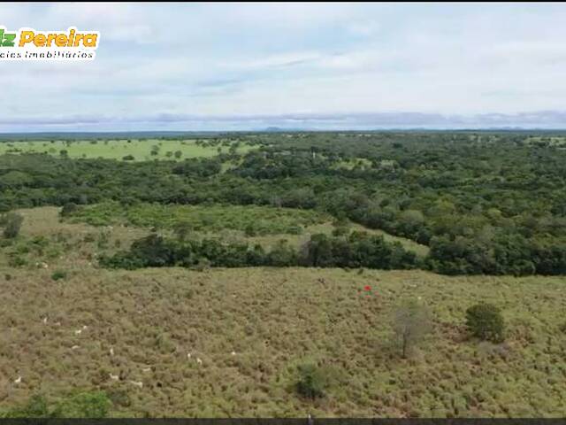 Fazenda para Venda em Peixe - 4