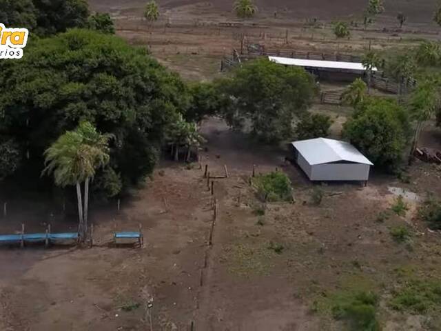 Fazenda para Venda em Miranda - 3