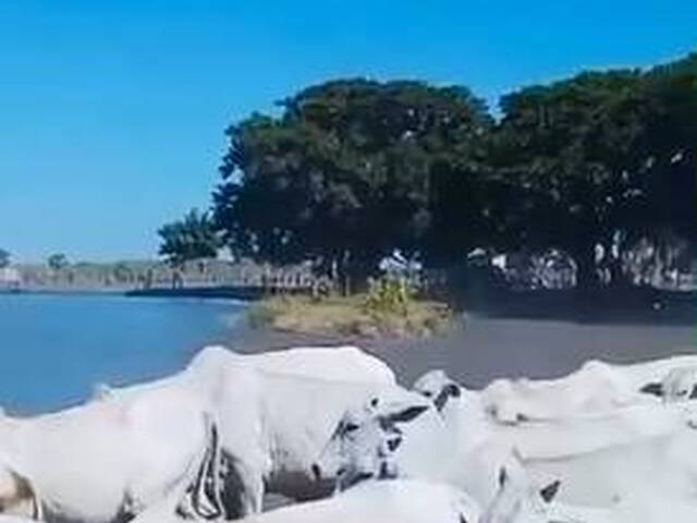 Venda em Laranjal - Miranda