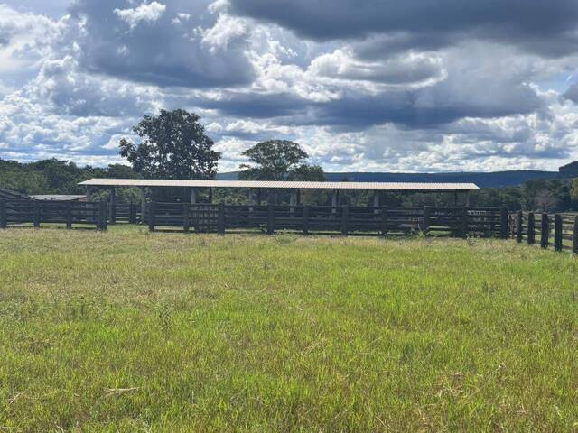 Fazenda para Venda em Pedro Gomes - 4