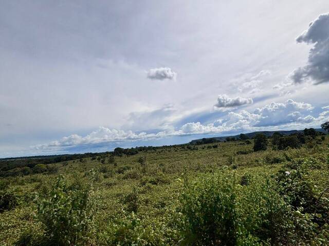 Fazenda para Venda em Pedro Gomes - 5