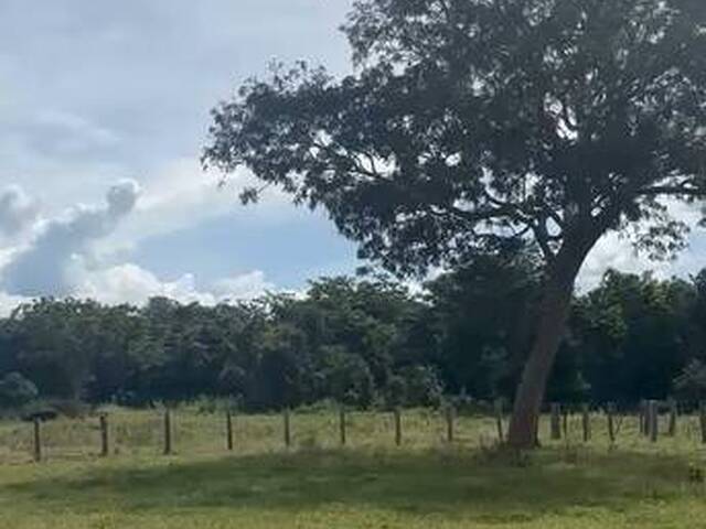 Fazenda para Venda em Pedro Gomes - 2