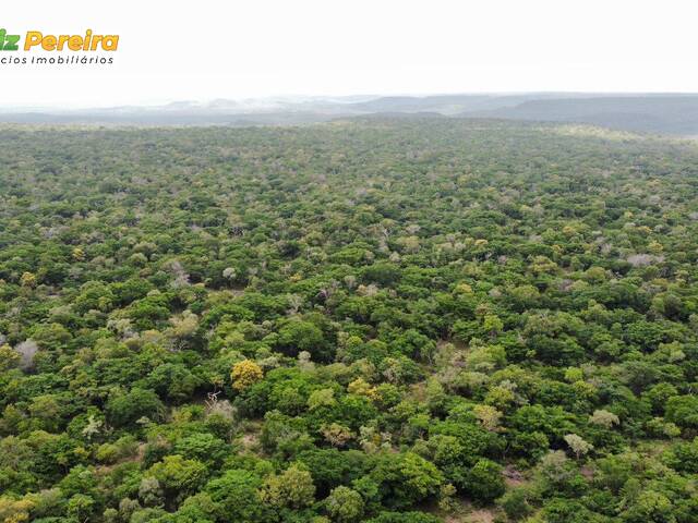 #3261 - Fazenda para Venda em São João dos Patos - MA - 3