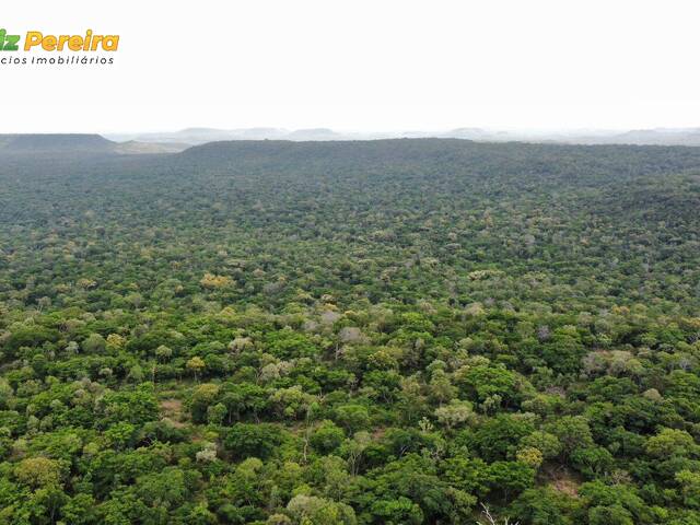 #3261 - Fazenda para Venda em São João dos Patos - MA - 2