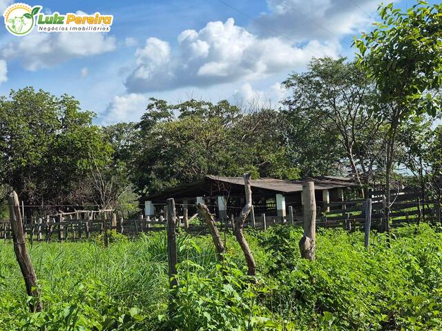 Fazenda para Venda em São João dos Patos - 5