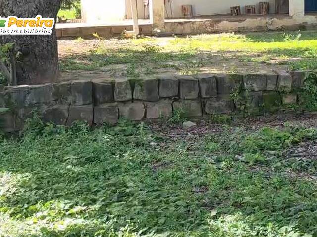 Fazenda para Venda em São João dos Patos - 4