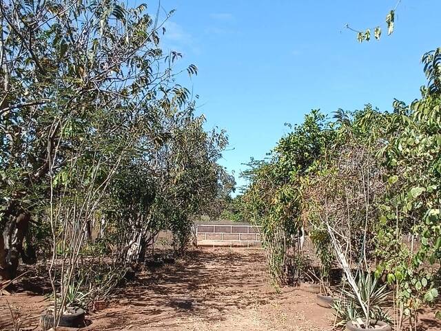 Chácara para Venda em Cariri do Tocantins - 5