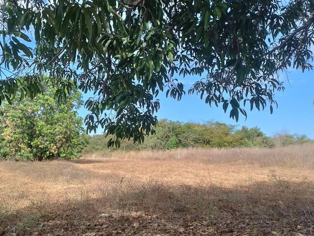 #3262 - Chácara para Venda em Cariri do Tocantins - TO - 3