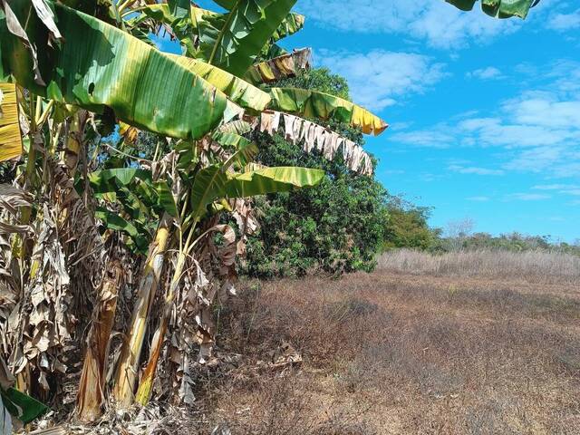 #3262 - Fazenda para Venda em Cariri do Tocantins - TO