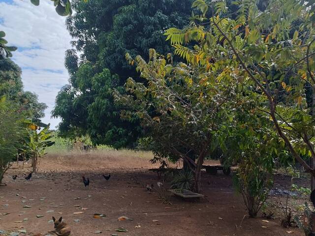 Chácara para Venda em Cariri do Tocantins - 4