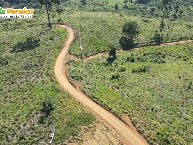 #3263 - Fazenda para Venda em Itupiranga - PA