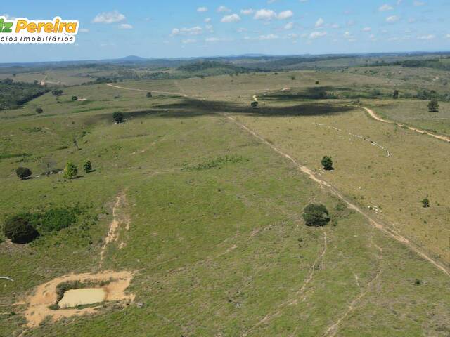 Fazenda para Venda em Itupiranga - 4