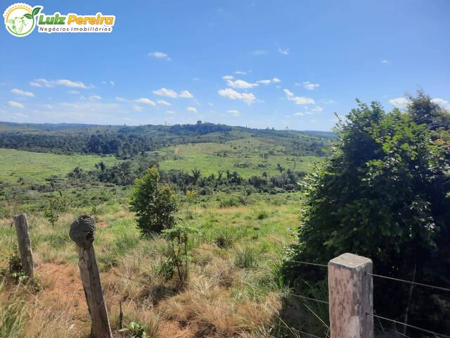 Fazenda para Venda em Itupiranga - 5