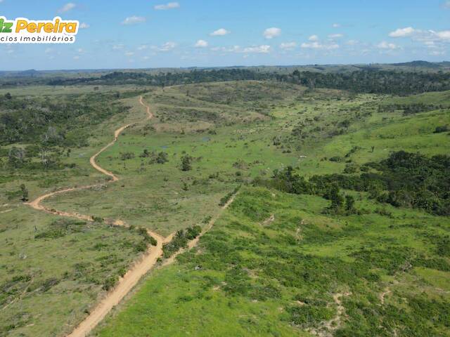 #3263 - Fazenda para Venda em Itupiranga - PA - 3