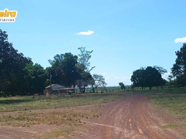#3264 - Fazenda para Venda em Barra do Ouro - TO - 2