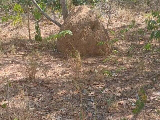 Fazenda para Venda em Barra do Ouro - 4