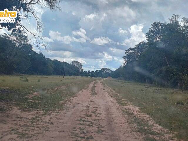 #3264 - Fazenda para Venda em Barra do Ouro - TO - 3