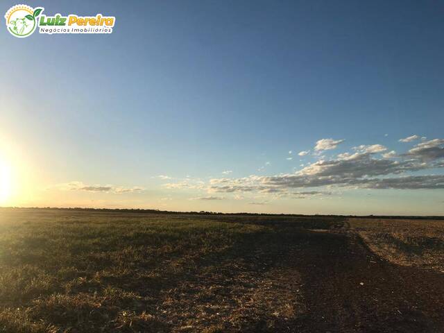 #3266 - Fazenda para Venda em Santa Vitória - MG - 2