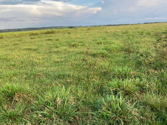 #3266 - Fazenda para Venda em Santa Vitória - MG - 3