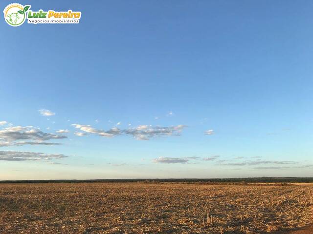 #3266 - Fazenda para Venda em Santa Vitória - MG - 1