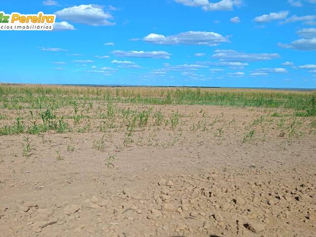 Venda em Zona Rural - Balsas