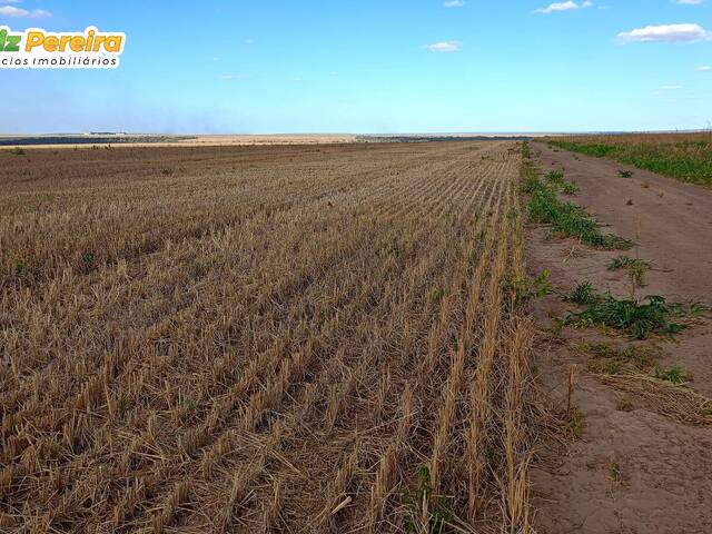 #3267 - Fazenda para Venda em Balsas - MA - 3
