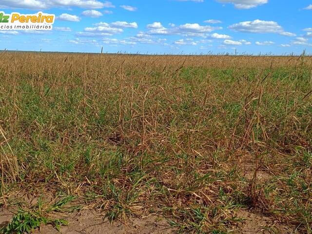 #3267 - Fazenda para Venda em Balsas - MA - 2