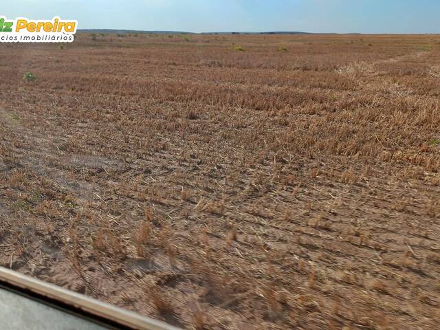 Fazenda para Venda em Balsas - 5