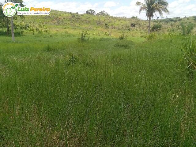 Fazenda para Venda em Marabá - 5