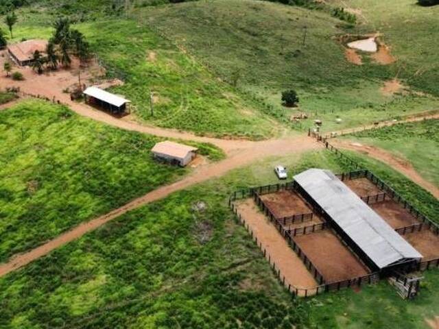 #3270 - Fazenda para Venda em Ipixuna do Pará - PA - 1